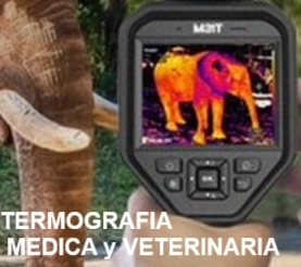 deteccion personas con FIEBRE con camara termica Testo 890 GimateG