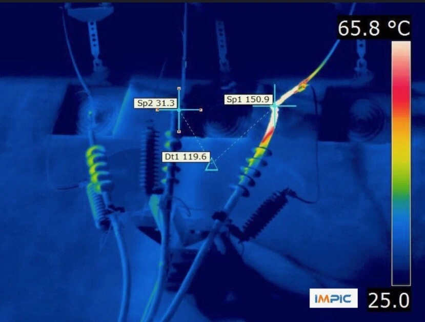 foto termica profesional de IMPIC y Curso Termografos PDMcubic gimateg